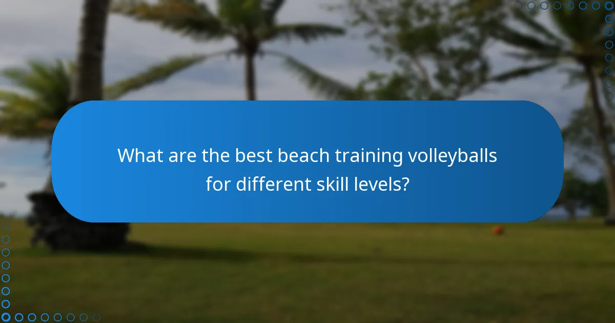 What are the best beach training volleyballs for different skill levels?