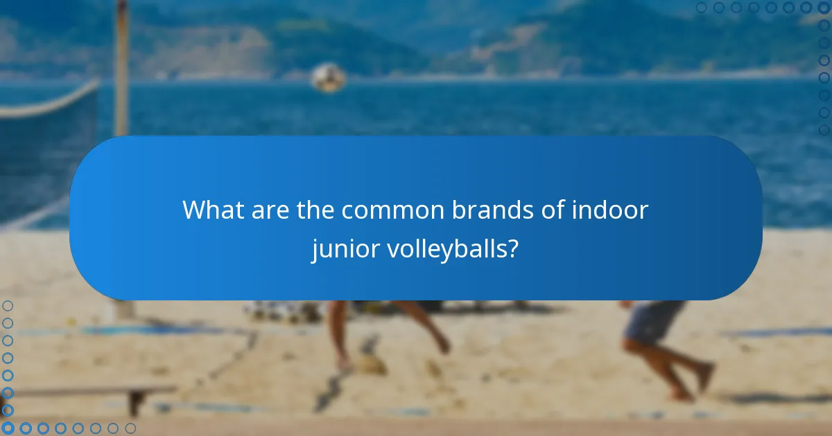 What are the common brands of indoor junior volleyballs?