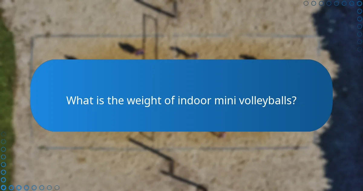 What is the weight of indoor mini volleyballs?