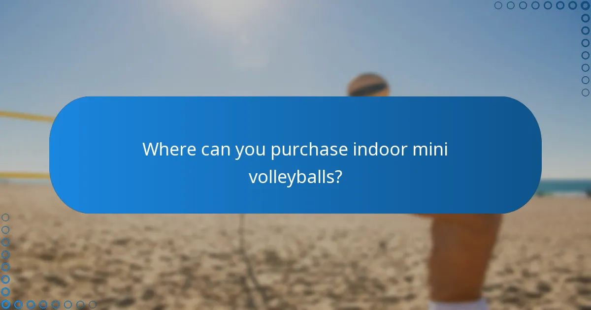 Where can you purchase indoor mini volleyballs?