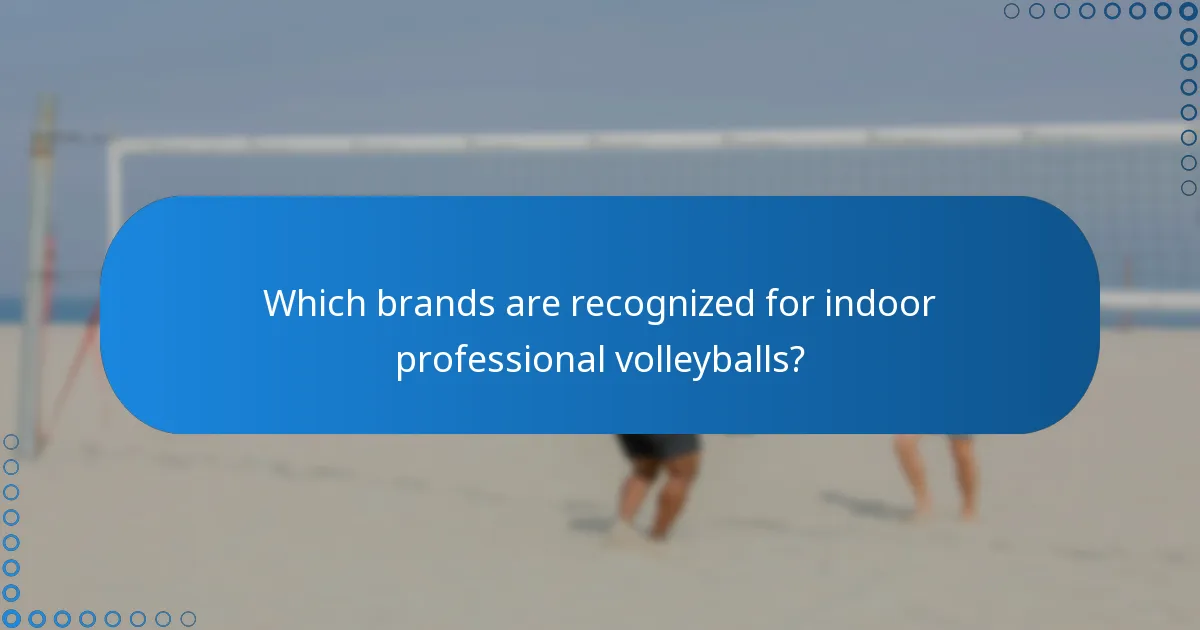 Which brands are recognized for indoor professional volleyballs?