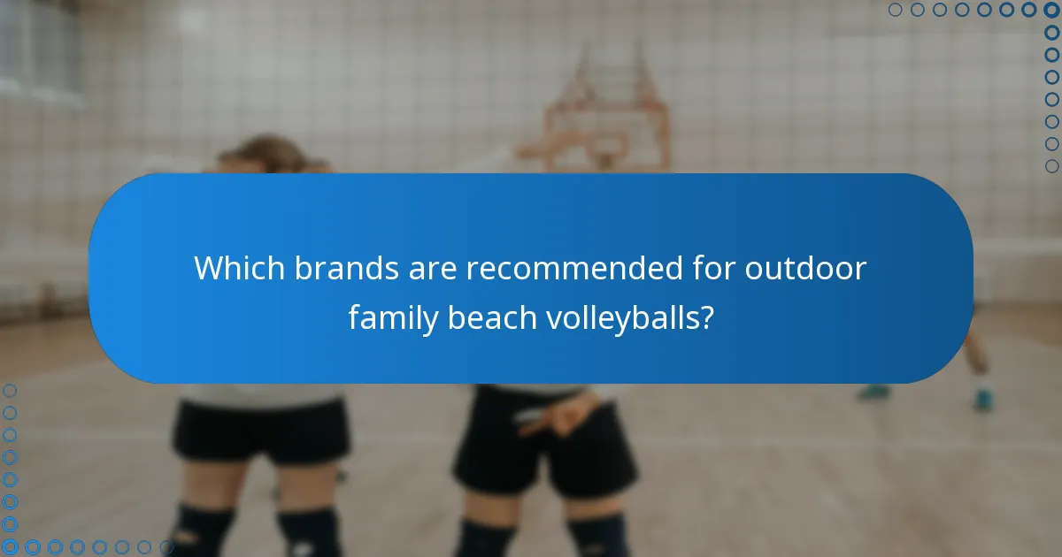 Which brands are recommended for outdoor family beach volleyballs?