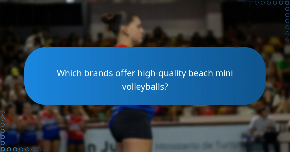 Which brands offer high-quality beach mini volleyballs?