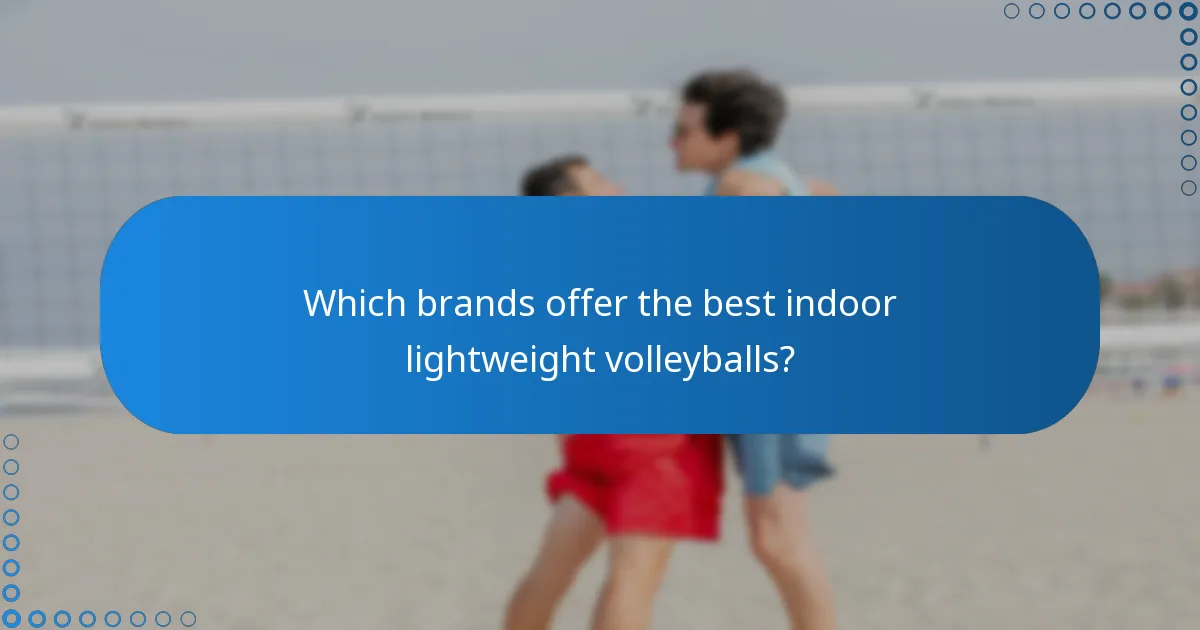 Which brands offer the best indoor lightweight volleyballs?