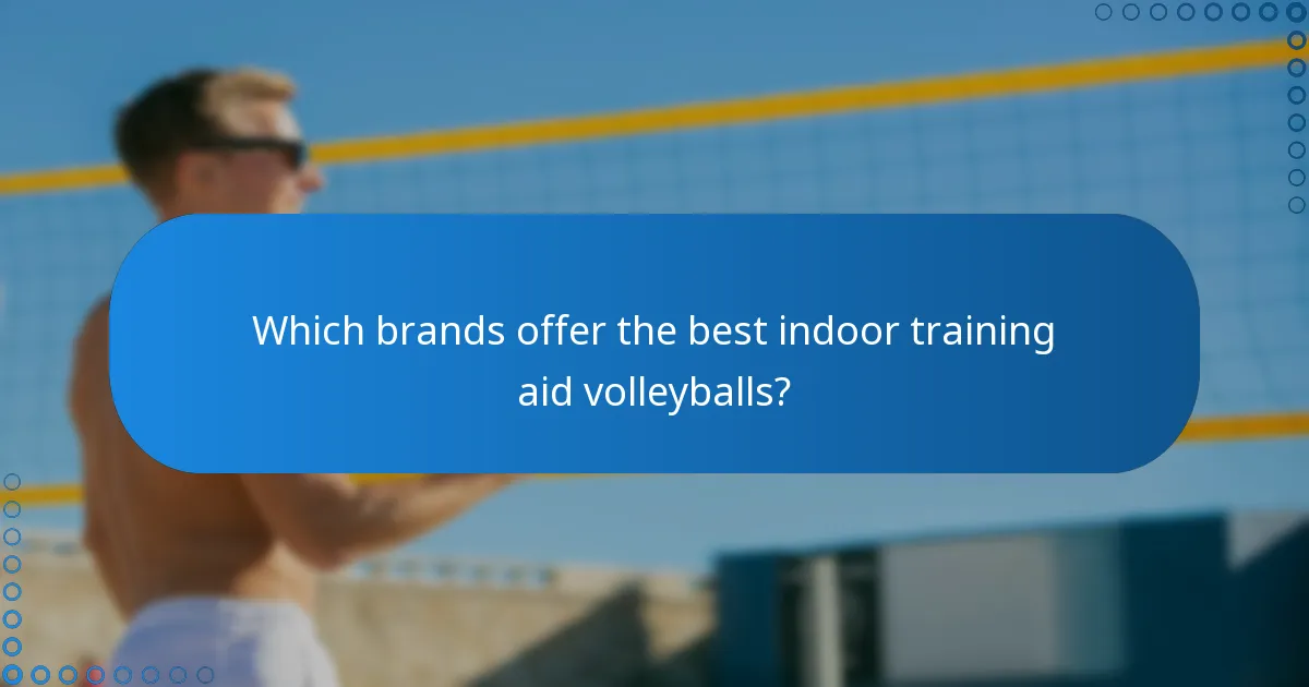 Which brands offer the best indoor training aid volleyballs?