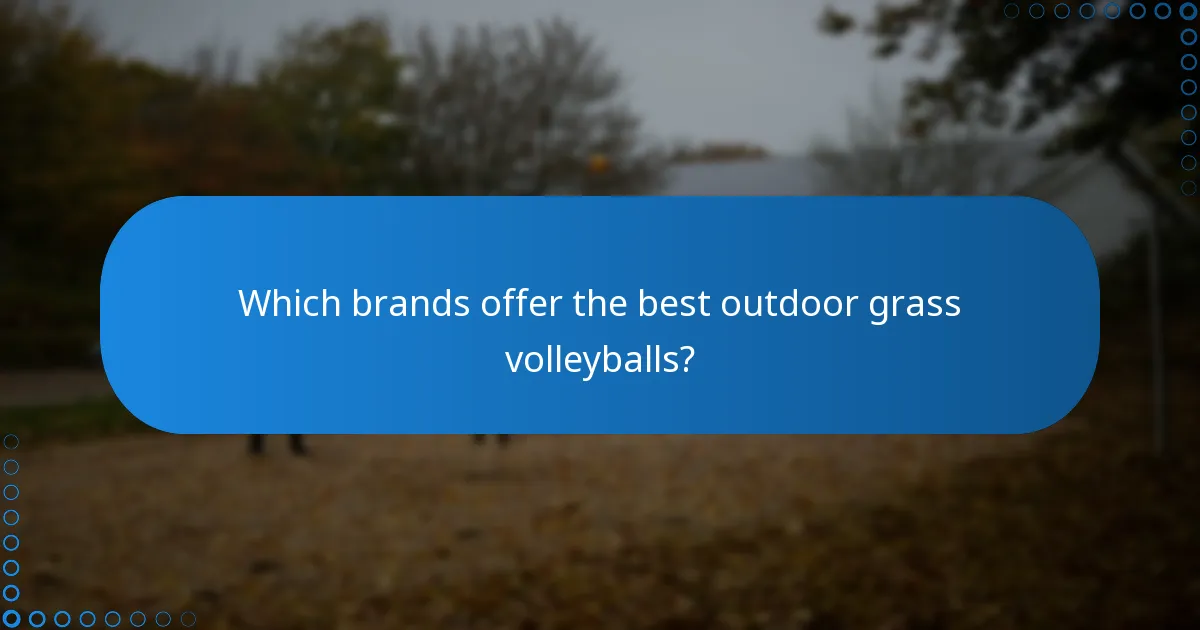 Which brands offer the best outdoor grass volleyballs?