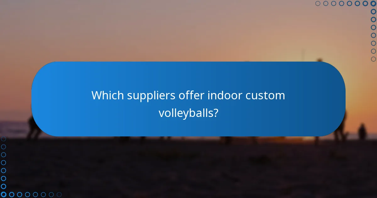 Which suppliers offer indoor custom volleyballs?