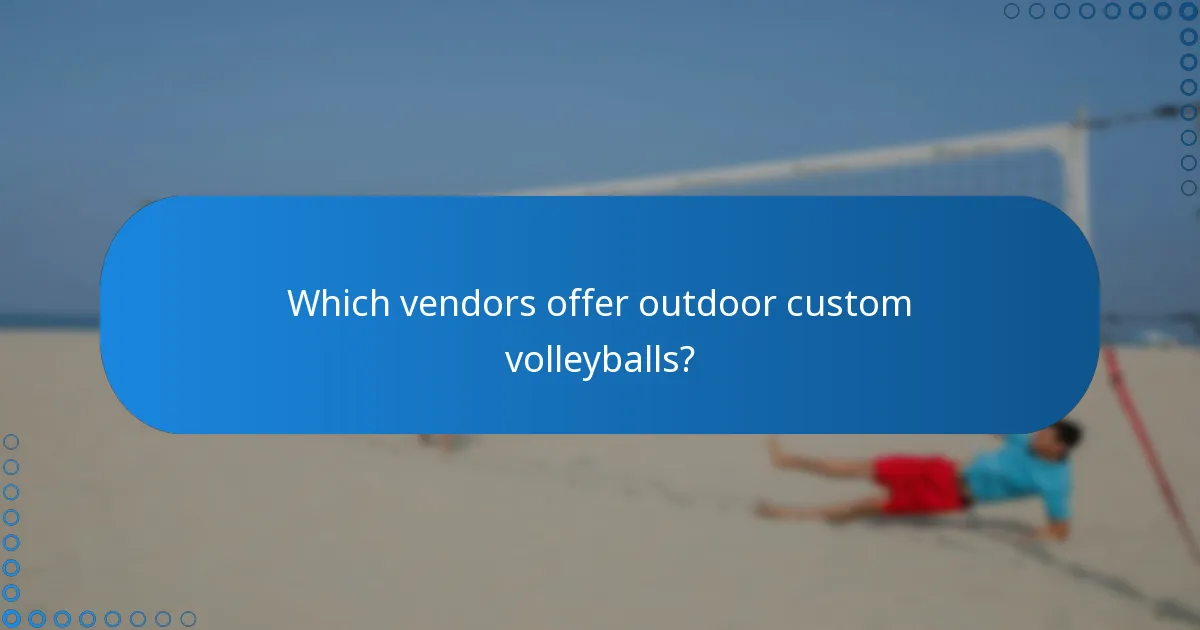 Which vendors offer outdoor custom volleyballs?
